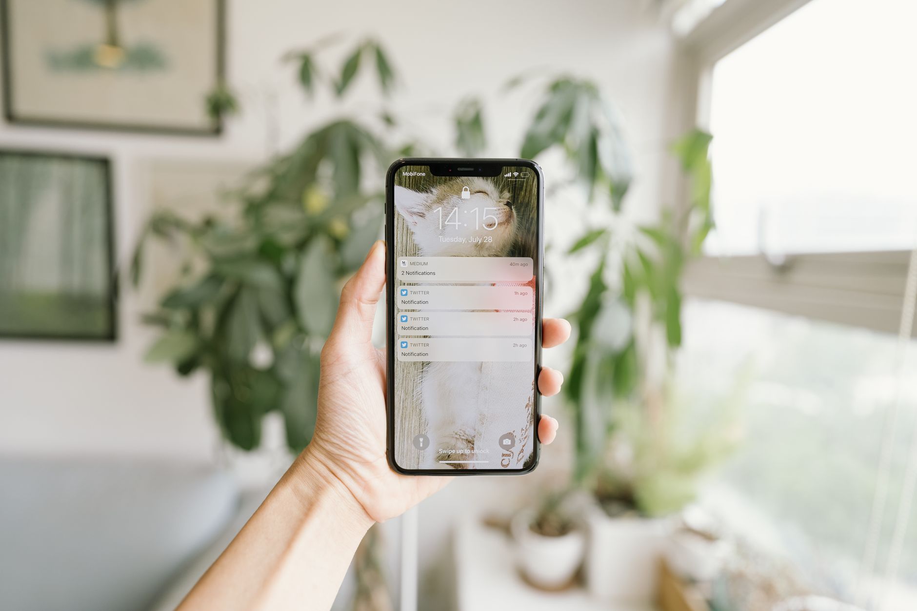 A hand holding a smartphone inside a modern, bright room with plants.